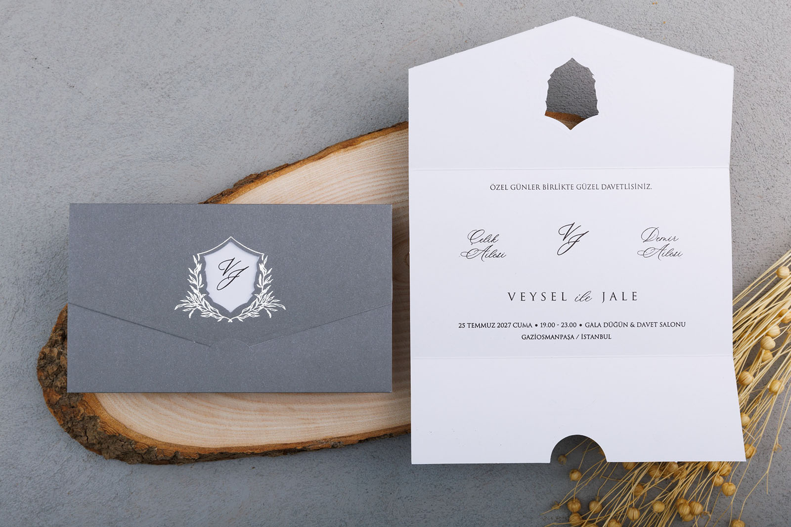 Elit & Lüks & VİP-ENFA 2009