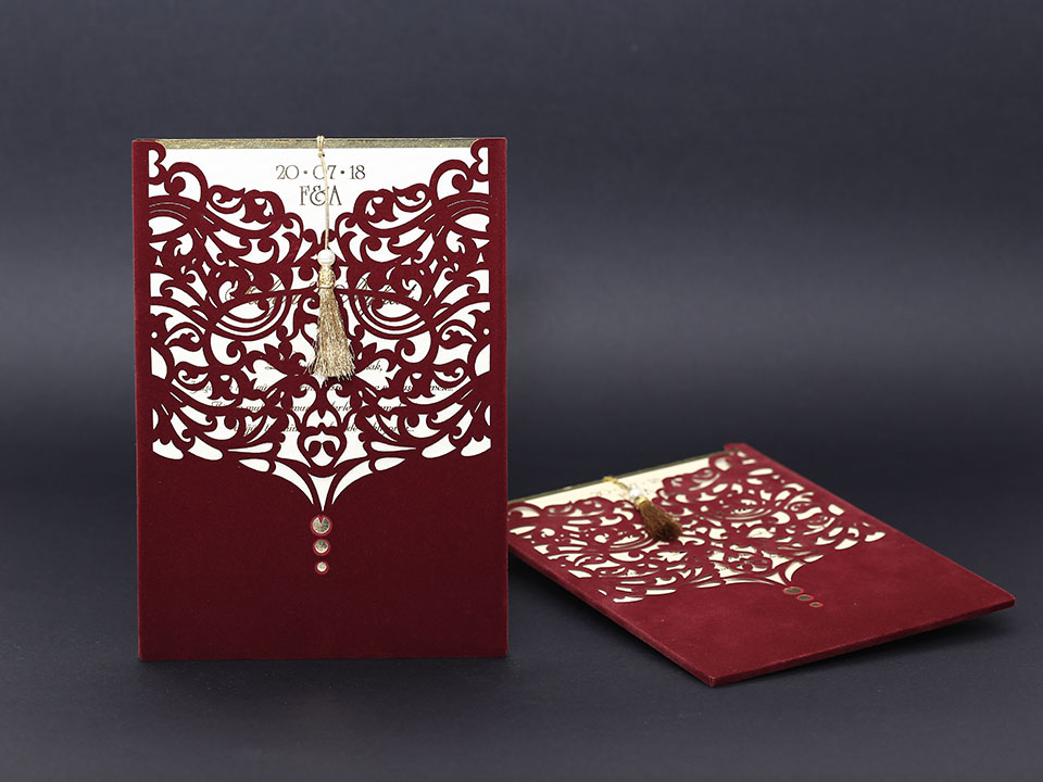 Elit & Lüks & VİP-2010